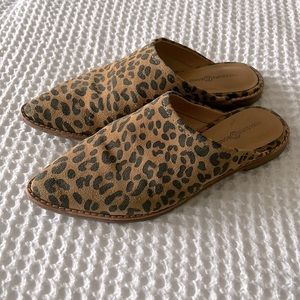 Woman’s Shoes